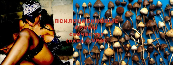 прущий лед Белокуриха