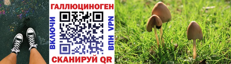 Псилоцибиновые грибы Magic Shrooms  Ершов 
